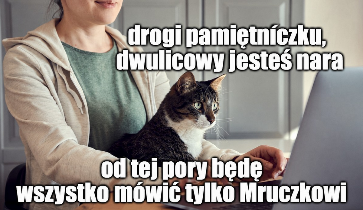 Kobieta używająca chatbota AI jako pamiętnika dostała zarzuty, bo w jednym z wpisów groziła policji