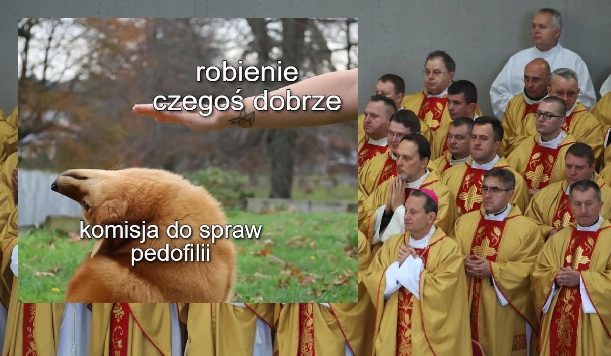 NIK: komisja ds. pe*ofilii była dziwnie finansowana i wykazała się pewną księgową spontanicznością