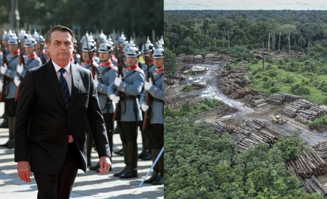 Brazylia: do walki z nielegalnym karczowaniem Amazonii trzeba było posłać wojsko