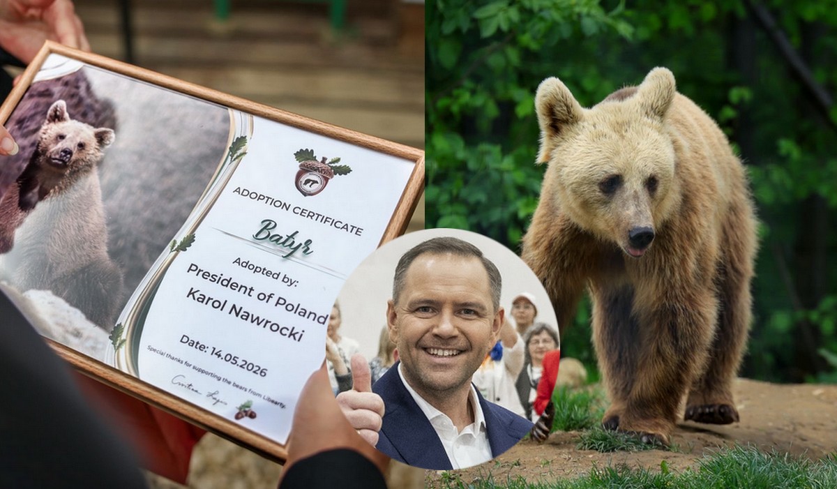 Prezydent Nawrocki w czasie wizyty w Rumunii zaadoptował niedźwiedzia i nazwał go "Batyr"