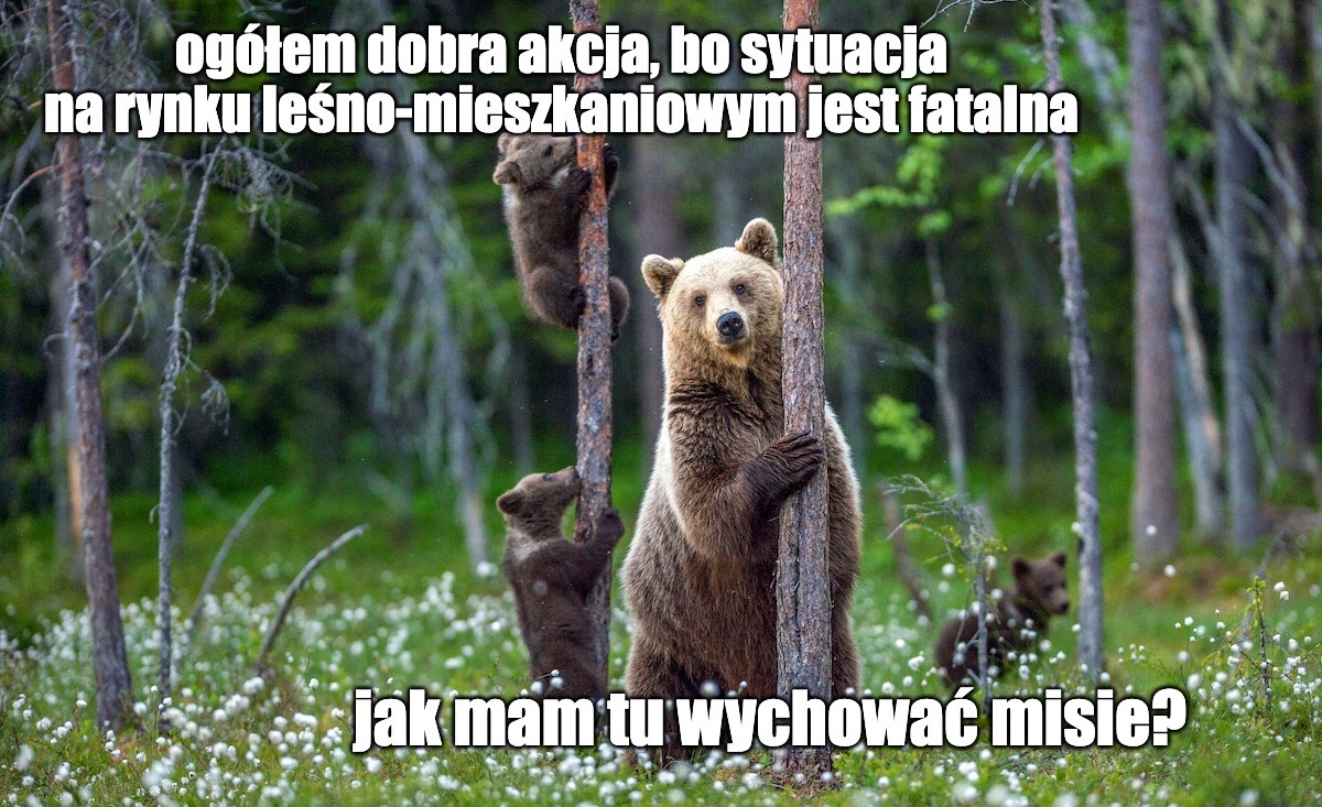 Fundusz Żubra znowu rusza z odsieczą przyrodzie, tym razem ratuje wilki i niedźwiedzie siedliska