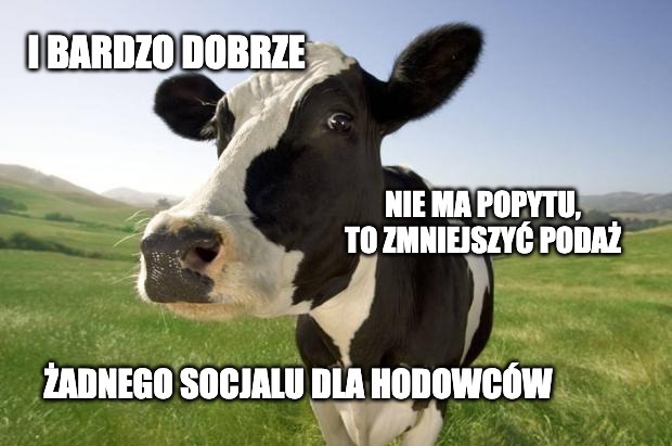 Prezes hodowców bydła: przez modę na wegetarianizm zmniejsza się popyt na wołowinę