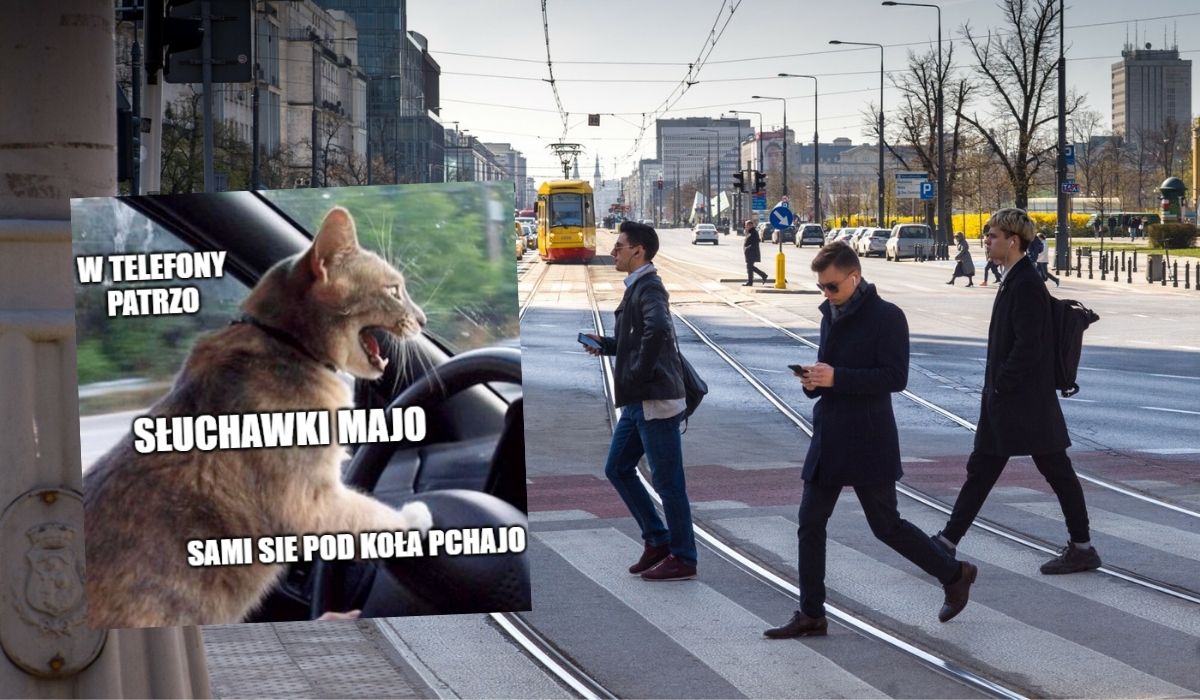 Janusze drogowi mylili się: zmiana przepisów na korzyść pieszych zmniejszyła liczbę wypadków