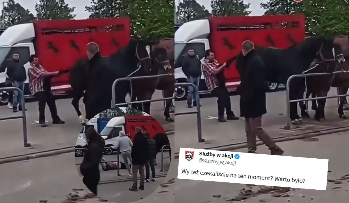 Pajęczno: dorożkarz znęcający się nad końmi dostał szybką karmę i kopa na twarz