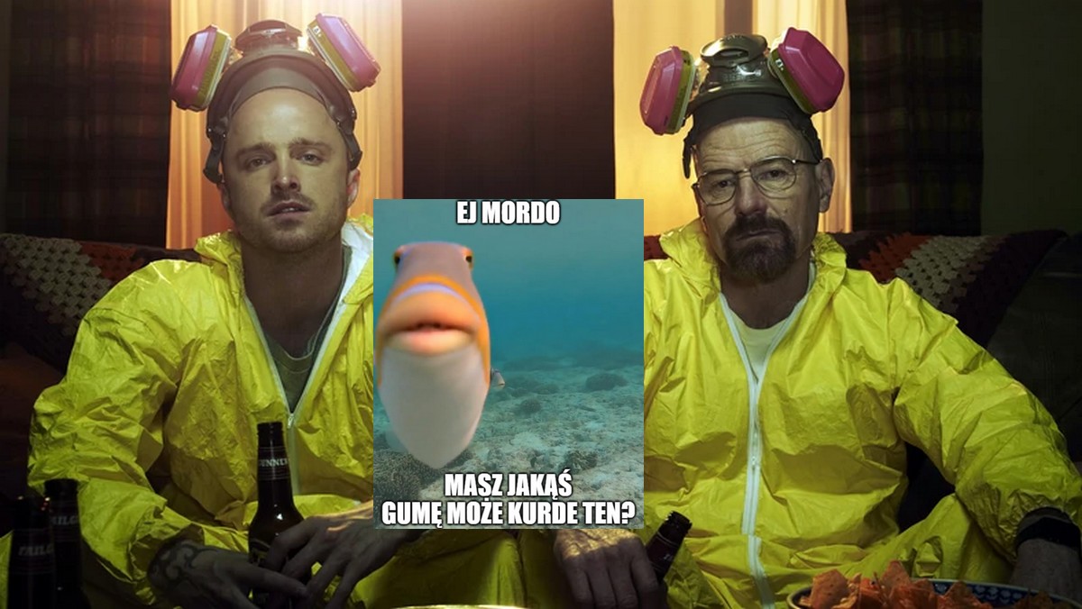 Przez ludzi i ich rozrywki, ryby są coraz bardziej narażone na uzależnienie od narkotyków