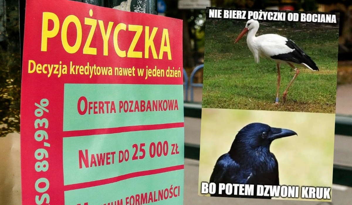 Polacy pożyczają pieniądze częściej niż rok temu, w samym maju 40% więcej niż w 2021 