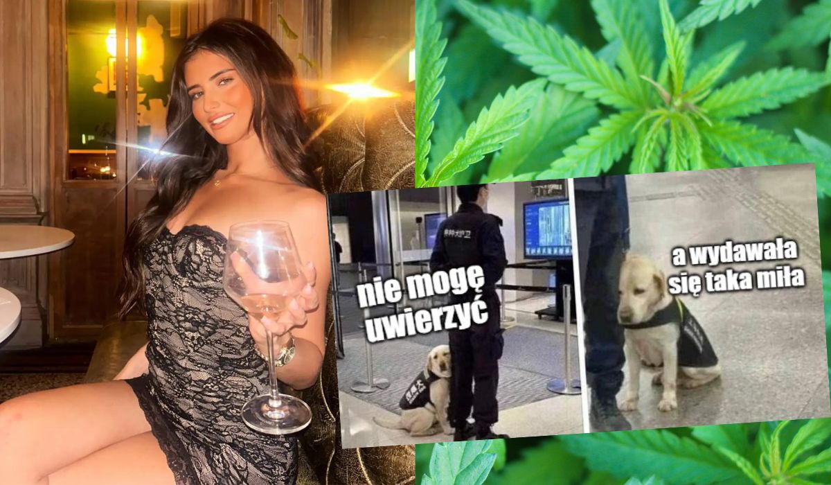 UK: influencerka złapana z aż 17 kg przemycanej marihuany z nadzieją, że po prostu nikt nie sprawdzi