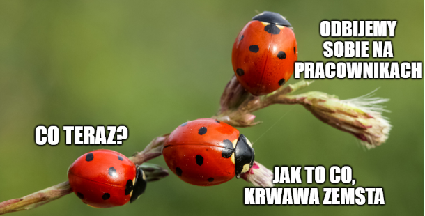 UOKiK dał siarczystego klapsa Biedronce, aż 723 mln zł kary za żerowanie na dostawcach