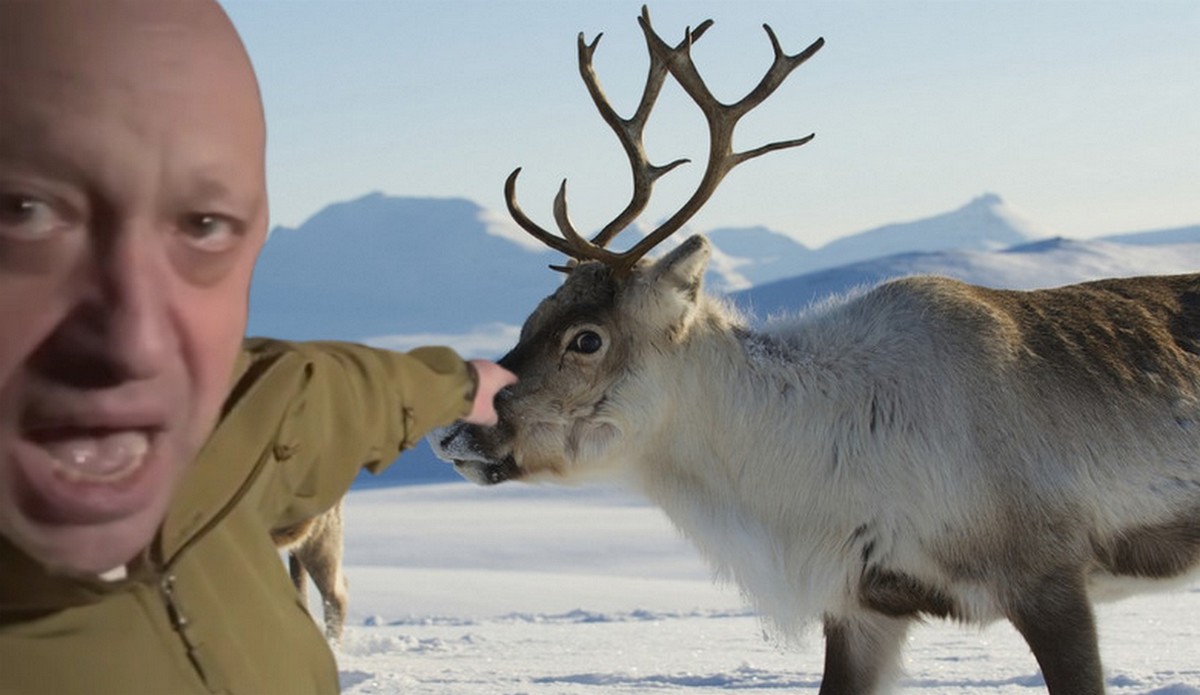 Rosyjski rezerwat domaga się odszkodowania od Norwegii, bo ich renifery zjadły chrobotka po złej stronie granicy