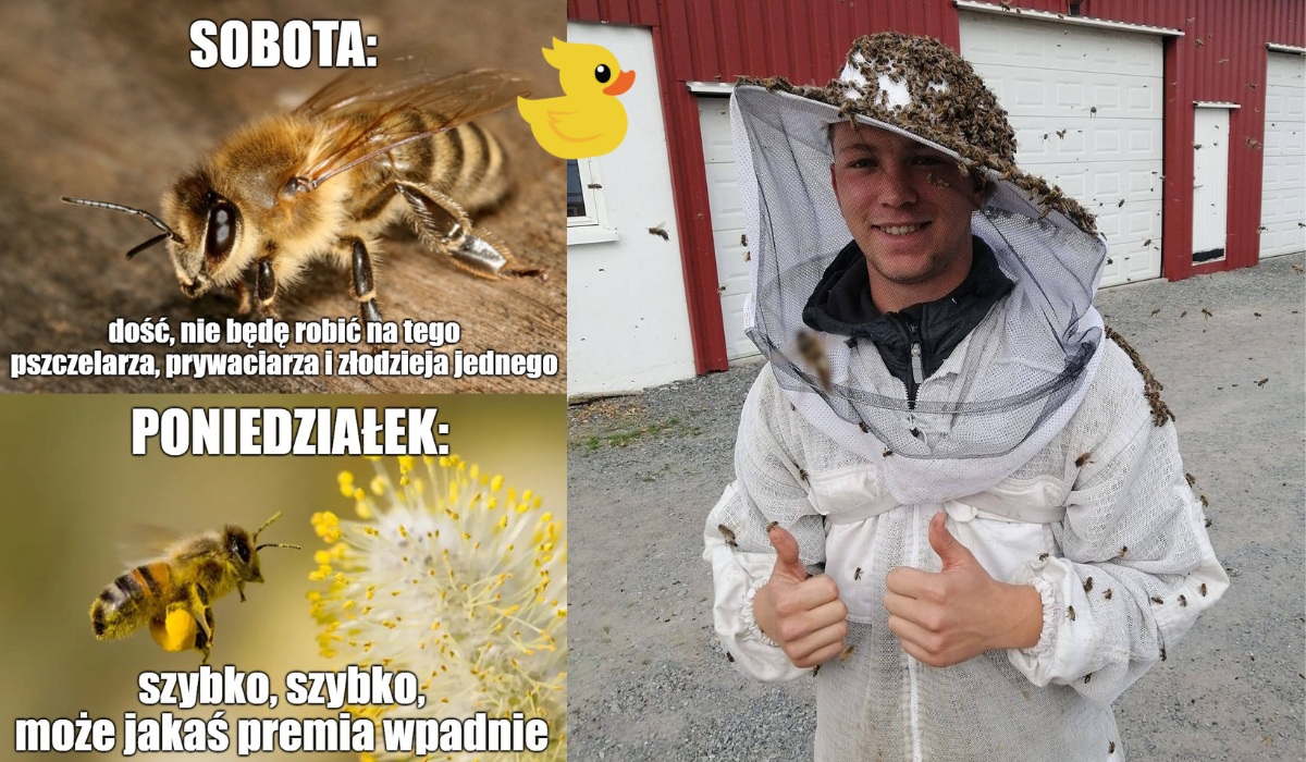 Rozmawiamy z młodym pszczelarzem i pytamy, czy to fajny zawód i czy miód czuć pieniądzem