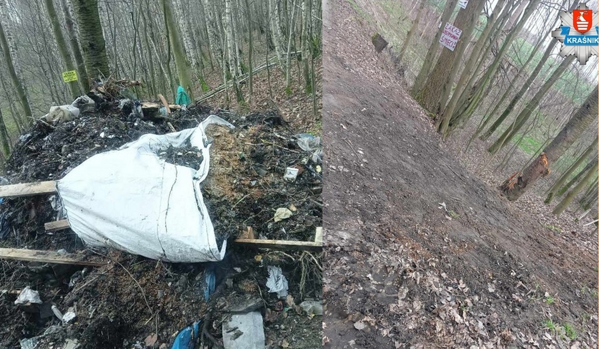 Kraśnik: sprawca śmiecenia w lesie został namierzony, musiał zapłacić, posprzątać i przeprosić