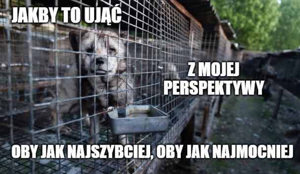 Efekt uboczny koronawirusa: pada branża futrzarska