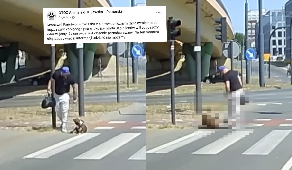 Bydgoszcz: facet ze słynnego nagrania został namierzony, a pies zabrany