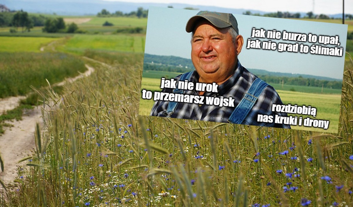 Rolnicy proszą rząd o utworzenie apki klęskowej, przez anomalie pogodowe częściej muszą zgłaszać straty