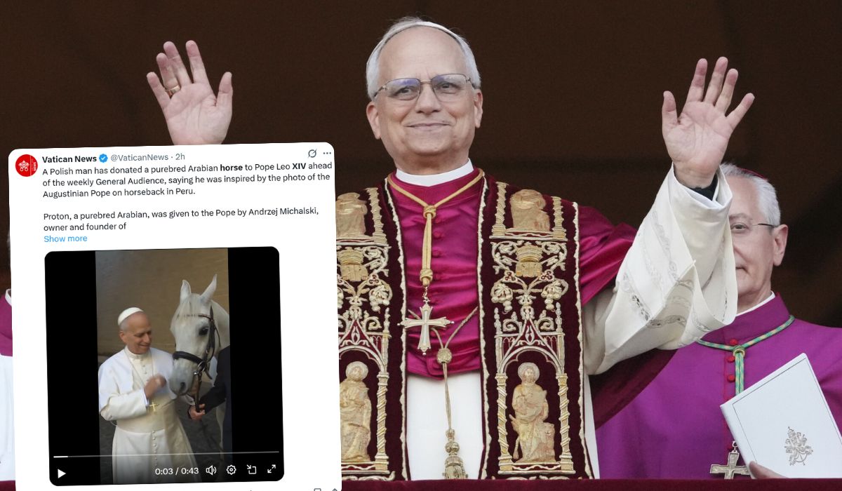 Papież dostał białego konia z Kołobrzegu-Budzistowa i chyba się ucieszył