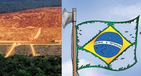 Prezydent Brazylii pozwoli na wycinkę chronionych obszarów puszczy amazońskiej