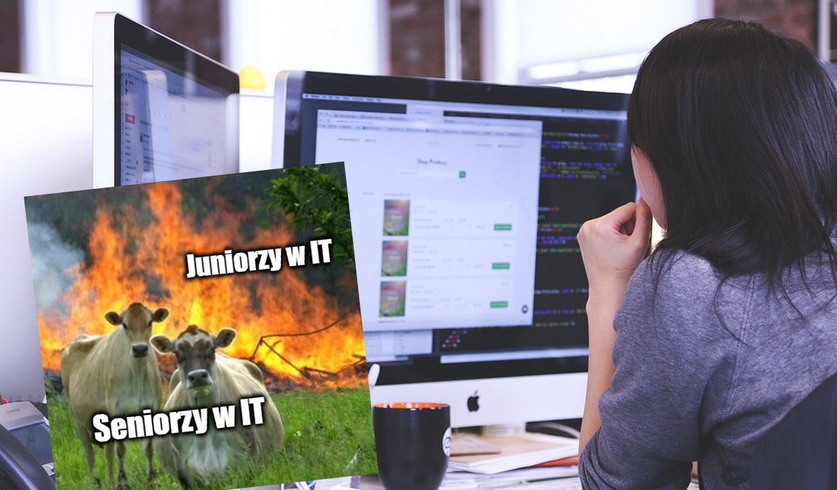 Raport: wyraźnie gorzej w branży IT, więcej zwolnień i cięcia pensji