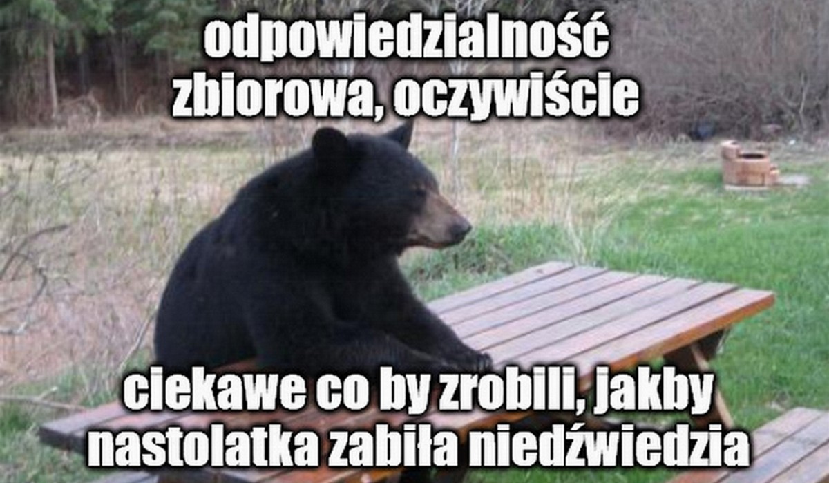 Rumunia: po tym, jak nastolatka padła ofiarą niedźwiedzia, rząd zapowiedział odstrzał pół tysiąca osobników