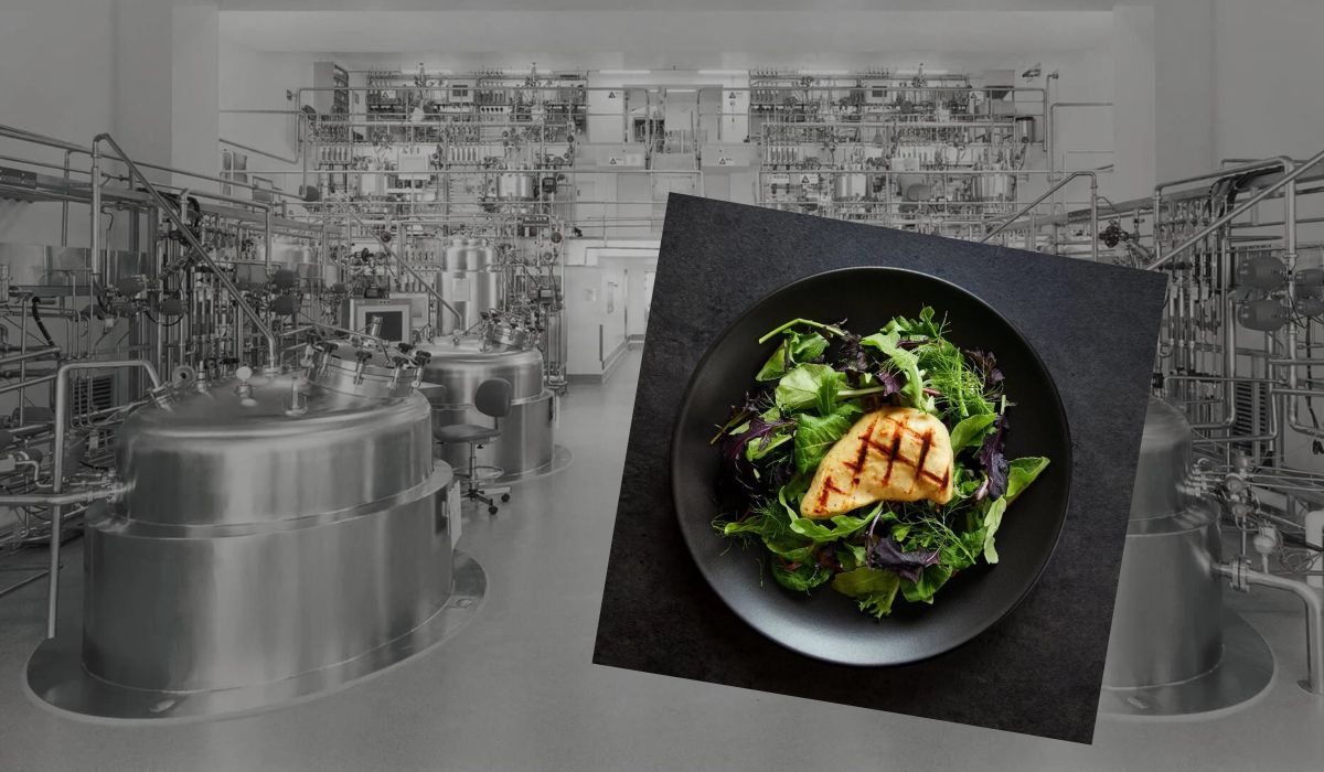 USA: firma hodująca sztuczne mięso w bioreaktorach idzie na żywioł i zapowiada do 13 000 ton mięsa rocznie