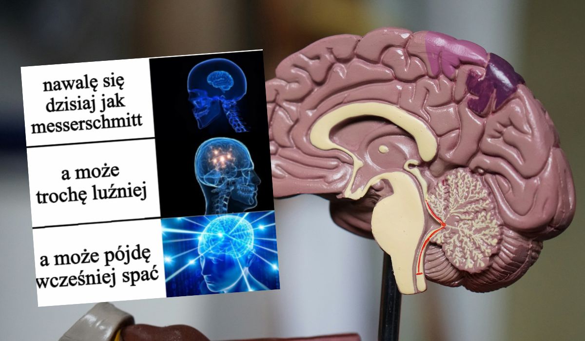 Naukowcy przetestują, czy implanty mózgowe mogą pomóc wyciszyć głód uzależnień