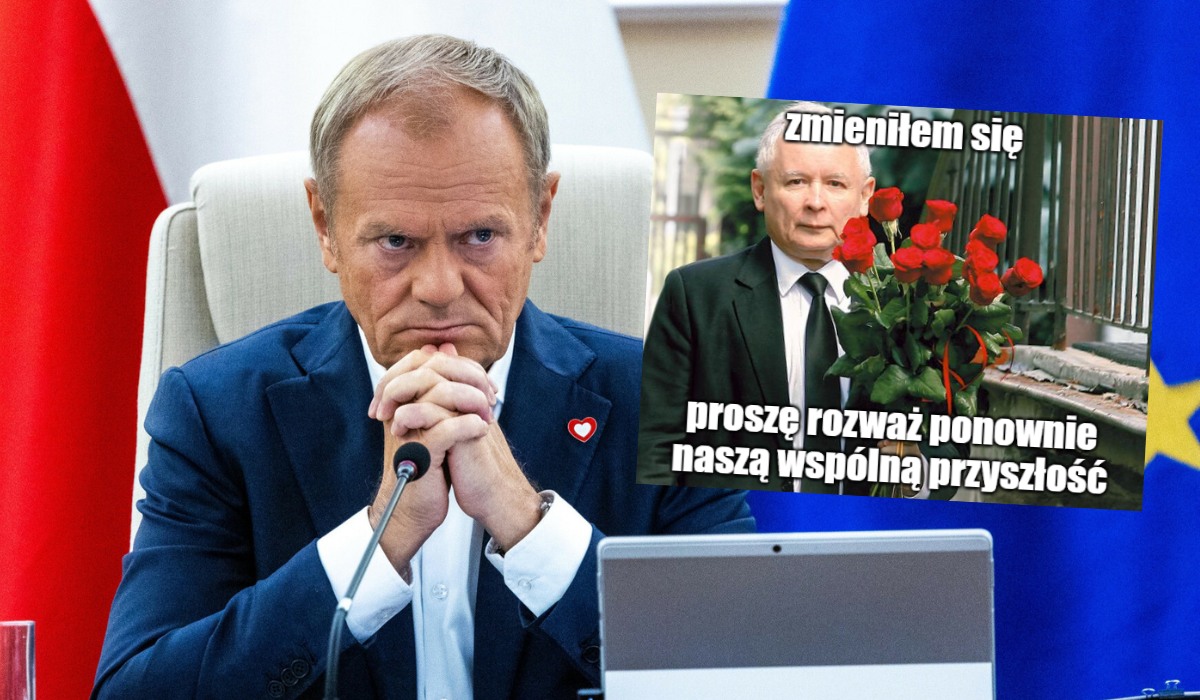 Sondaż: spektakularne załamanie wyników KO, aż 7,6 punktów procentowych w dół