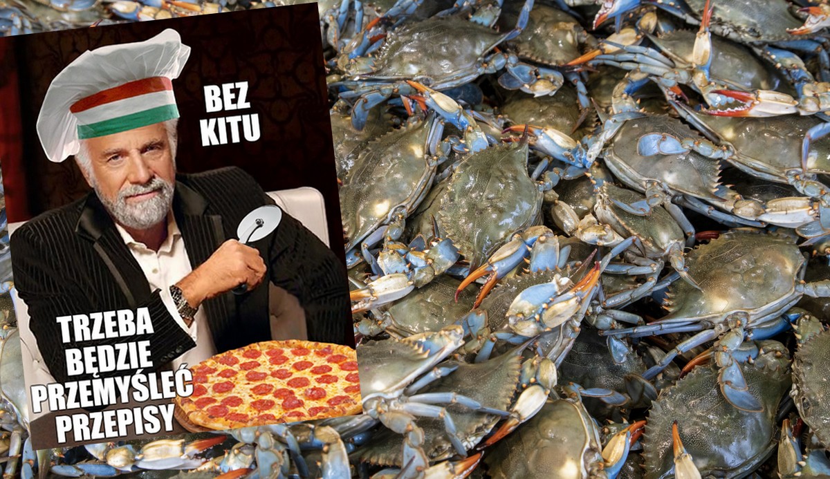 Włochy: całe regiony cierpią przez inwazję błękitnych krabów, których zrobiło się strasznie dużo