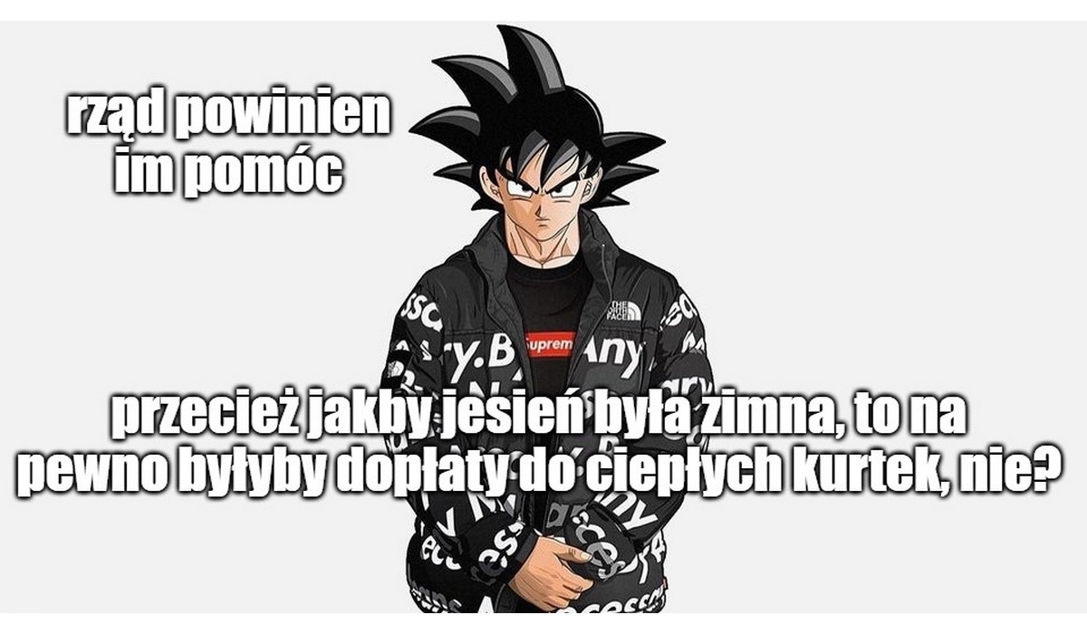 Przez ciepłą jesień Polacy nie kupili kurtek na zimę, senator proponuje pomoc dla firm