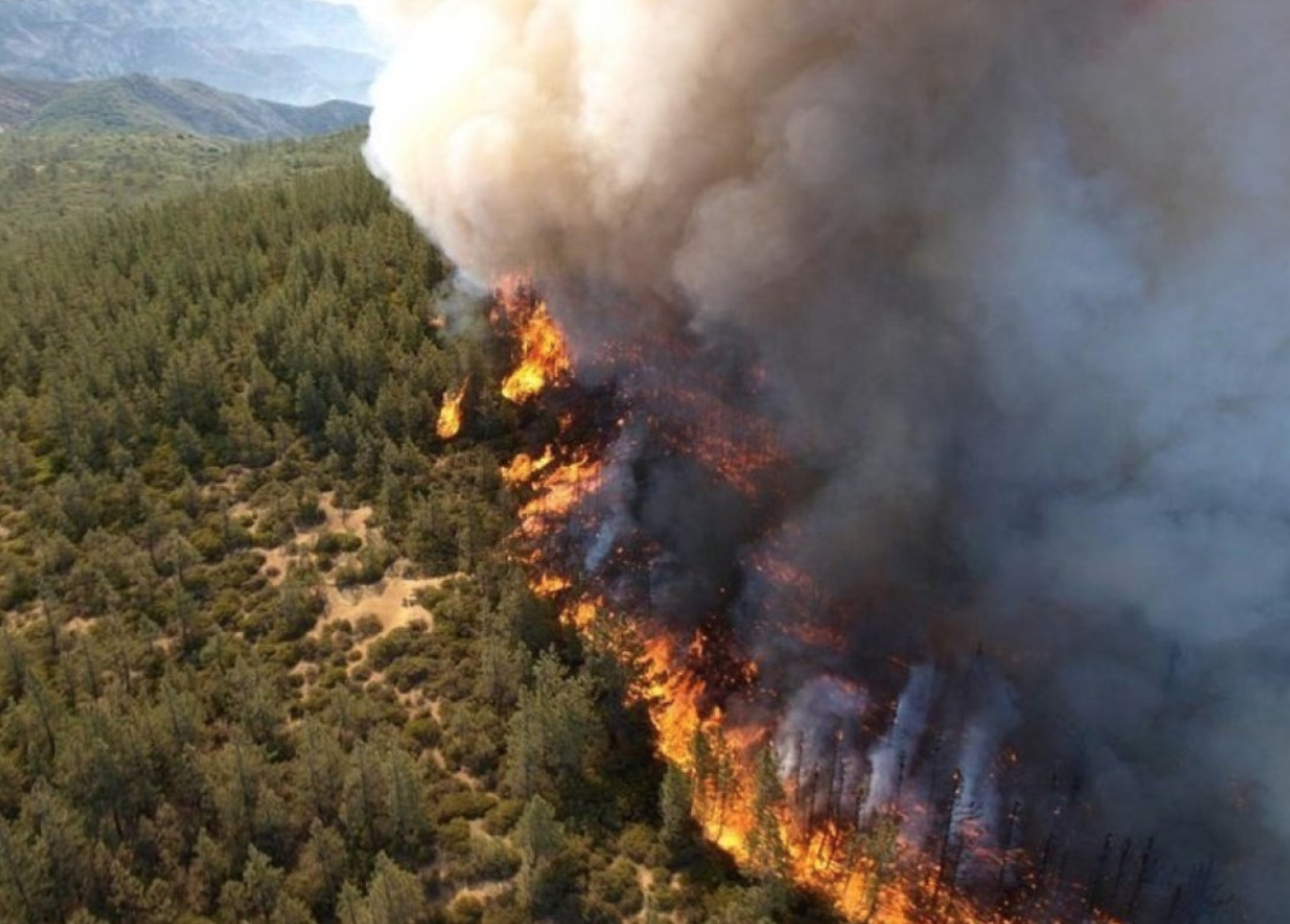 2019 najgorszym rokiem dla Syberii, "czekamy tylko na deszcz"