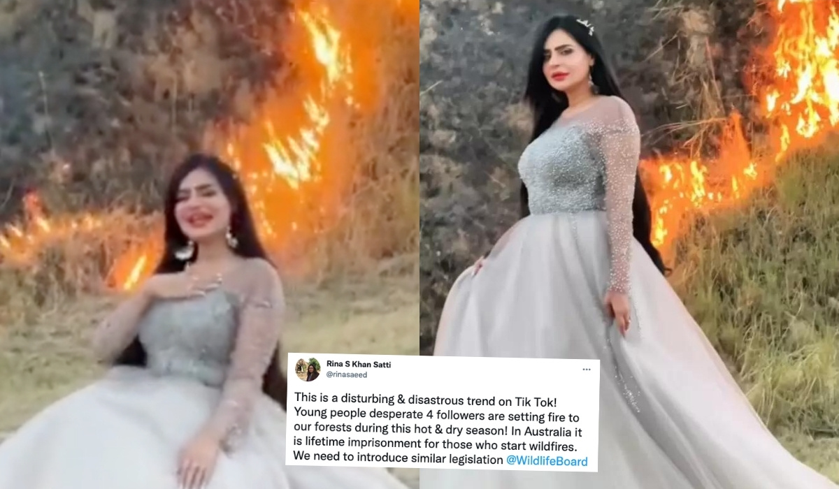 Pakistan: TikTokerka oskarżona o podpalenie lasu, żeby mieć więcej wyświetleń