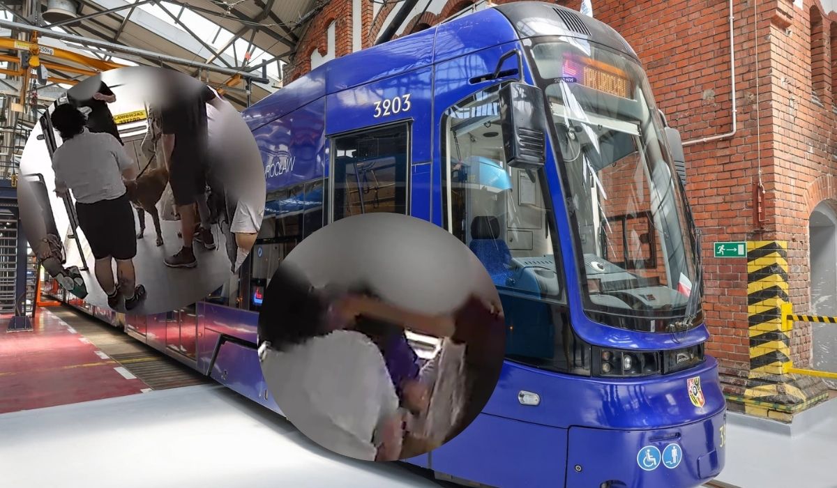 Wrocław: policja złapała gościa, który wsiadł do tramwaju z psem bez kagańca i spoliczkował motorniczego