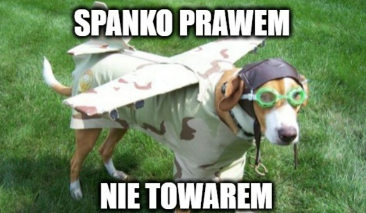 "Śpiulkolot" Młodzieżowym Słowem Roku 2021. Twoja stara zamyka podium