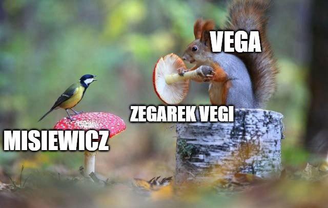 Vega nie boi się Misiewicza: mam zegarek wart dwa razy więcej, niż jego pozew