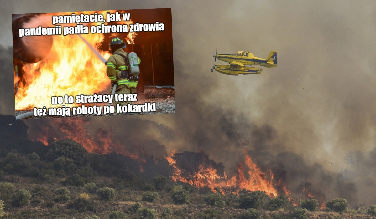 Fala upałów wysusza na wiór lasy, pożary trawią szczególnie mocno Grecję, Hiszpanię i Włochy