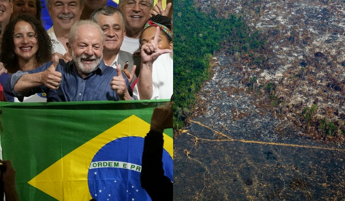 Brazylia: pod rządami nowego prezydenta wycinka puszczy zmniejszyła się o 61%