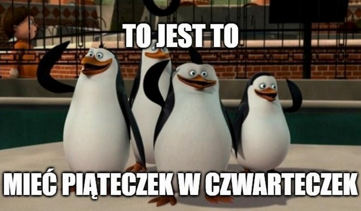 Szczecin: pierwsza firma zdecydowała się na eksperyment z czterodniowym tygodniem pracy