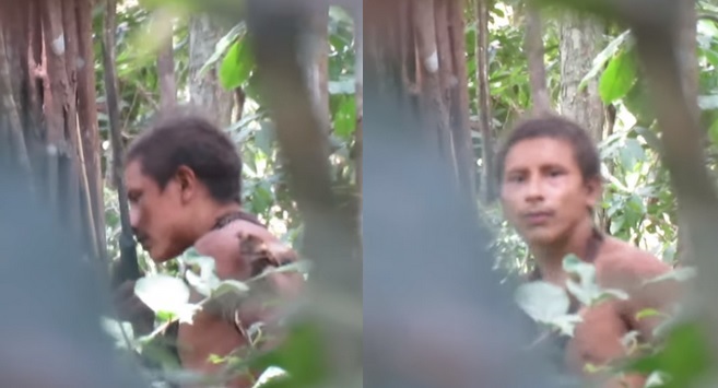 Wycinki amazońskiej dżungli zagrażają mieszkającym w niej plemionom