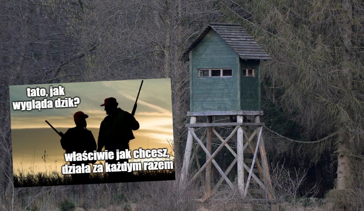 Lubelskie: zmarł postrzelony przez myśliwego 60-latek, który został pomylony z dzikiem