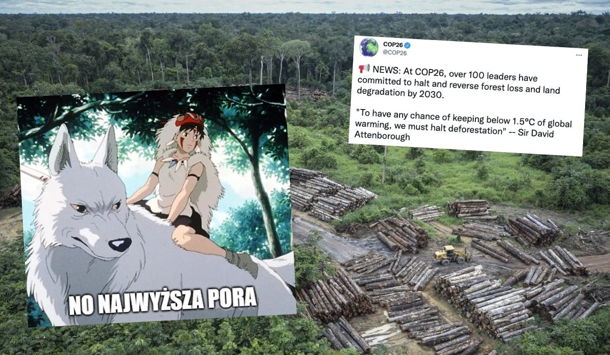Ponad 100 państw porozumiało się w sprawie ochrony lasów, będą walczyć z wylesianiem i inwestycjami szkodliwymi dla przyrody