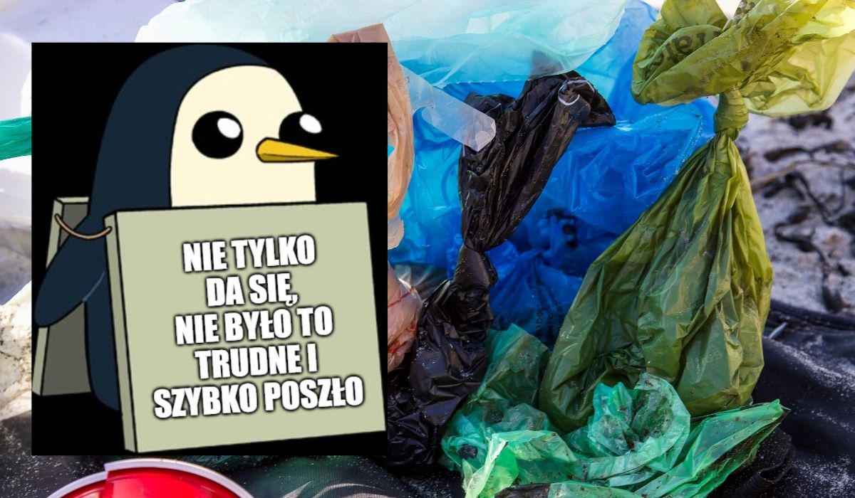 Walka z foliowymi reklamówkami się udała, a ich zużycie spadło 30-krotnie