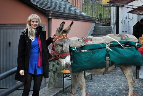 Kochanka posła Pięty: całe życie z jakimś osłem