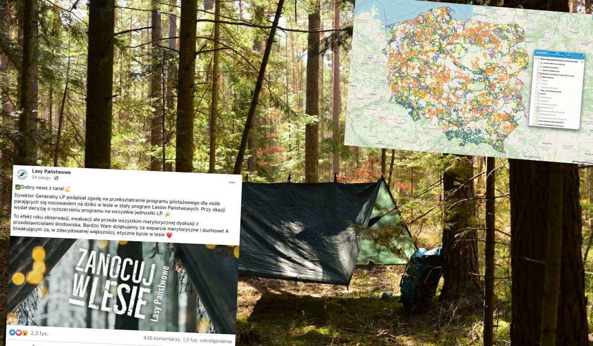 Rząd zachęca do kimania w lesie, bo w majówkę hotele i tak pozostaną zamknięte