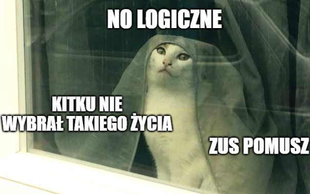 ZUS: zasiłek chorobowy przysługuje także tym, którzy mieszkają z osobą objętą kwarantanną