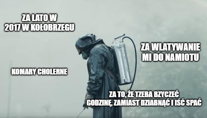 Odkomarzanie: niektóre samorządy trują komary, inne nie. Spór o "bezpieczną truciznę" i ekologię