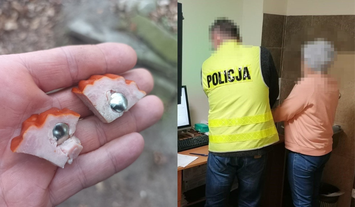 Jaworzno: 69-latka rozrzucała wędlinę z pinezkami, bo frustrowały ją szczekające psy sąsiadów