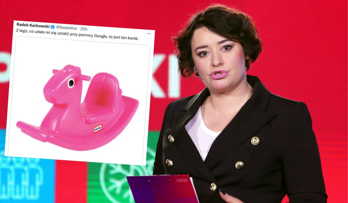 Posłanka Żukowska wytłumaczyła się z zakupów, także z różowego bujanego konika