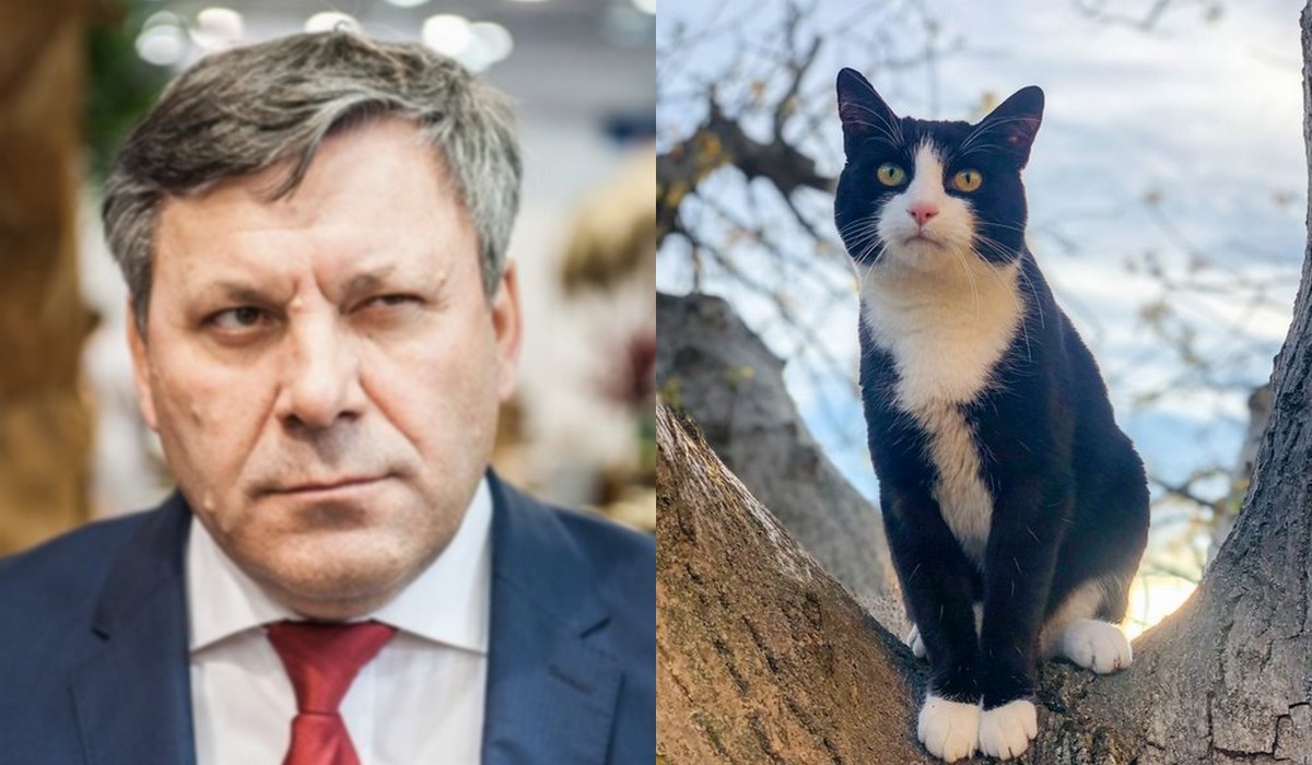 Piechociński przerażony cenami wątróbki dla jego kota Miauczura