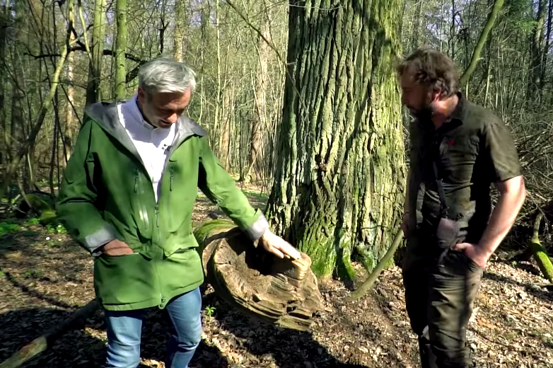 Biedroń: cała Puszcza Białowieska powinna być Parkiem Narodowym