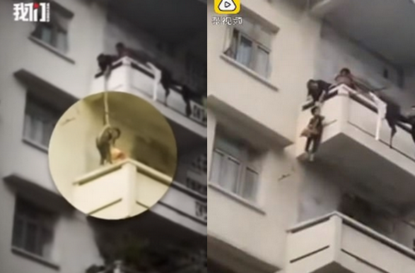 Babcia spuściła na linie 7-letniego wnuczka, żeby zgarnął jej kota z piętra niżej