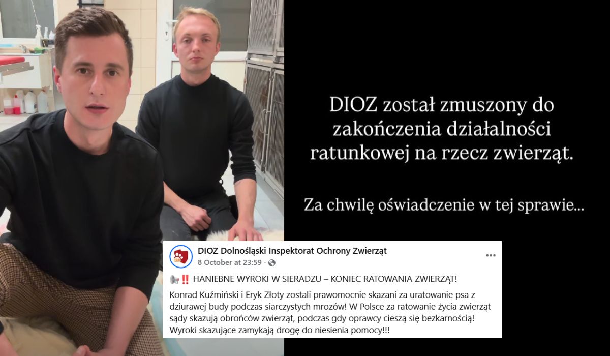 DIOZ zamyka działalność, prezes został skazany za kradzież psa