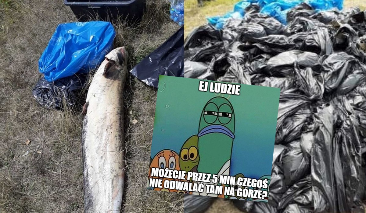 Nie wiadomo jeszcze kto i jak, ale zatruto Odrę, na dużym odcinku wypływają martwe ryby